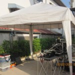 IMG_1724 IMG_1724