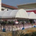 IMG_1731 IMG_1731